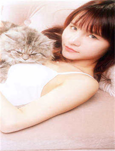 美梦成真电视剧